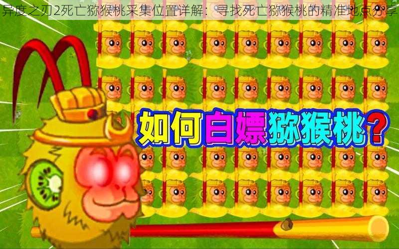 异度之刃2死亡猕猴桃采集位置详解:寻找死亡猕猴桃的精准地点分享