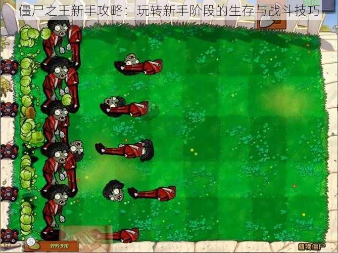 僵尸之王新手攻略:玩转新手阶段的生存与战斗技巧