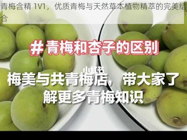青梅含精 1V1,优质青梅与天然草本植物精萃的完美结合