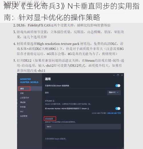 解决《生化奇兵3》N卡垂直同步的实用指南:针对显卡优化的操作策略