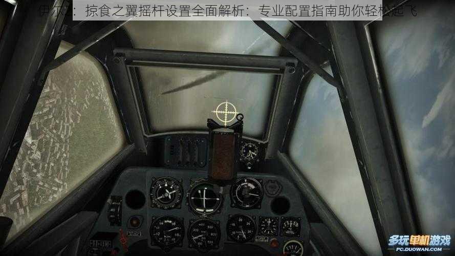 伊尔2:掠食之翼摇杆设置全面解析:专业配置指南助你轻松起飞