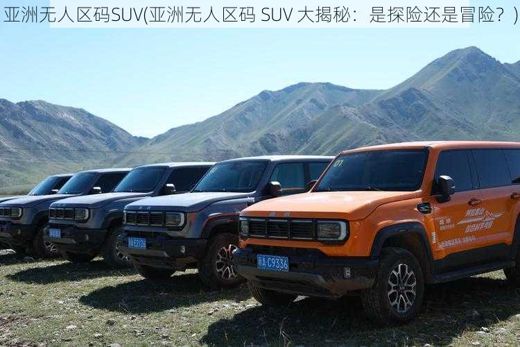 亚洲无人区码SUV(亚洲无人区码 SUV 大揭秘:是探险还是冒险?)