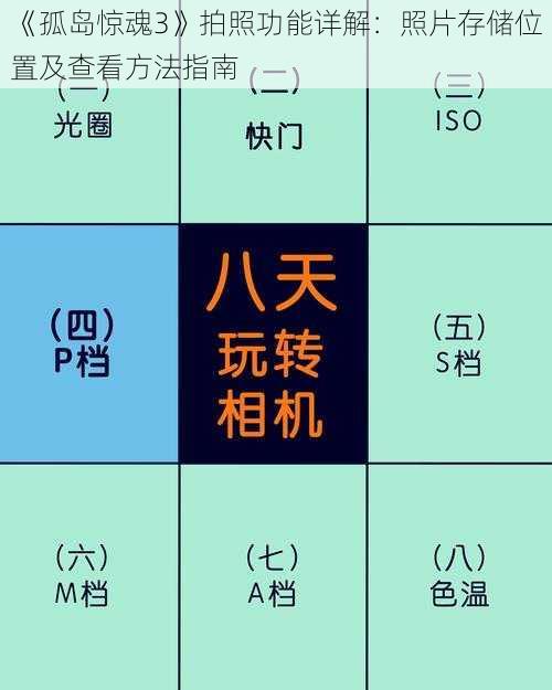 《孤岛惊魂3》拍照功能详解:照片存储位置及查看方法指南