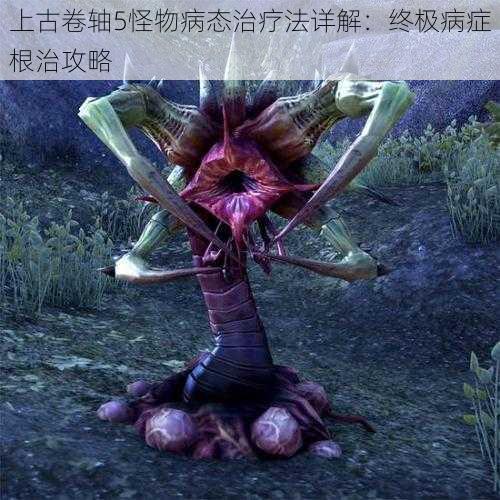 上古卷轴5怪物病态治疗法详解:终极病症根治攻略