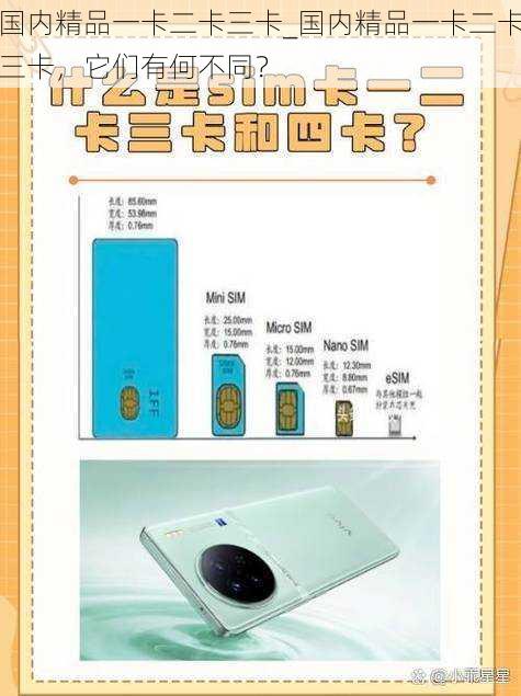 国内精品一卡二卡三卡_国内精品一卡二卡三卡,它们有何不同?