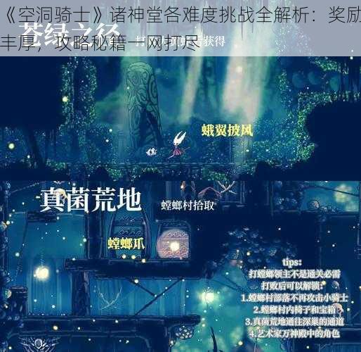 《空洞骑士》诸神堂各难度挑战全解析:奖励丰厚,攻略秘籍一网打尽