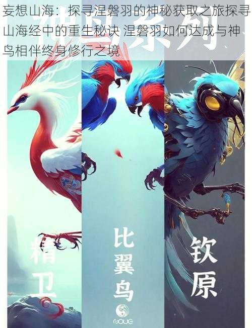 妄想山海:探寻涅磐羽的神秘获取之旅探寻山海经中的重生秘诀 涅磐羽如何达成与神鸟相伴终身修行之境