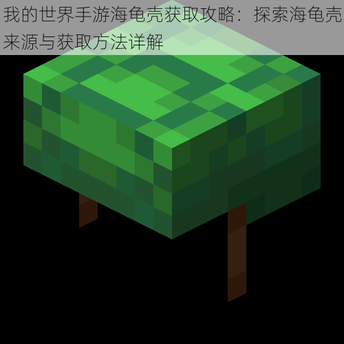 我的世界手游海龟壳获取攻略:探索海龟壳来源与获取方法详解